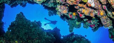 cayman brac diver above between reef 1060x403 min