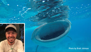 Meet Brett, Reef Divers Staff and Instructor at Cayman Brac Beach Resort